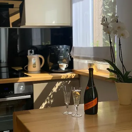 Malva Sun Dog Friendly With Garden コウォブジェク