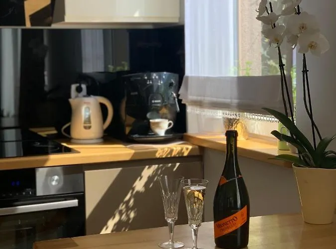 Malva Sun Dog Friendly With Garden コウォブジェク